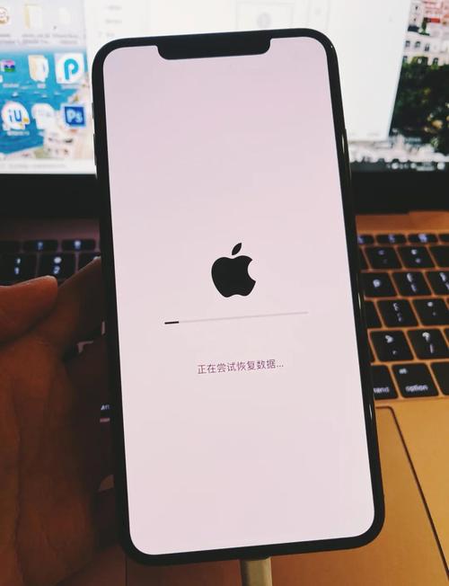 苹果手机自己能刷机吗