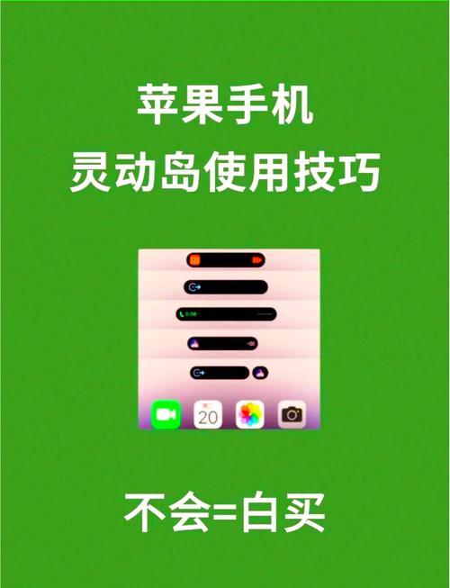 安卓手机上怎么看岛片