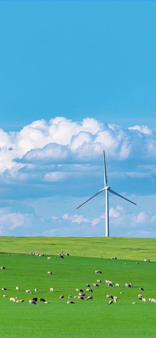 手机纸壁图片大全高清