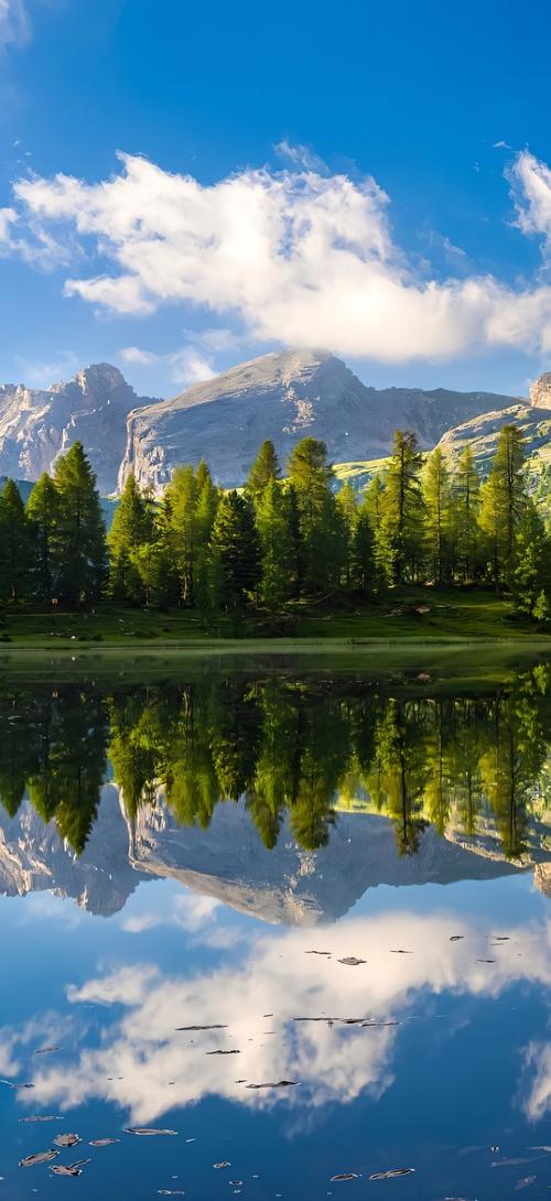 手机纸壁图片大全高清