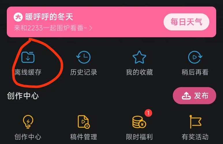 电脑上如何缓存b站视频