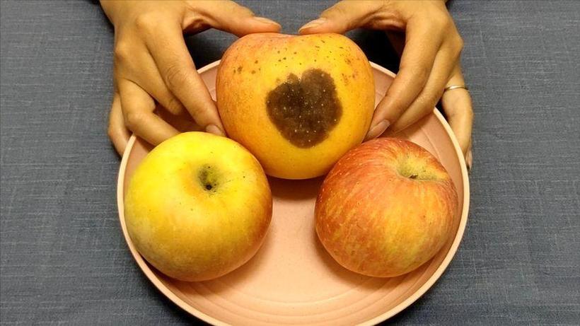 吃完苹果胃不舒服想吐