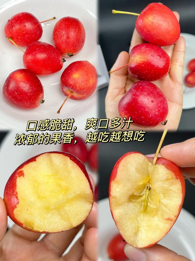 像小苹果的水果是什么