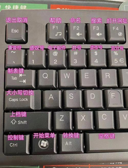 笔记本电脑怎么复制粘贴