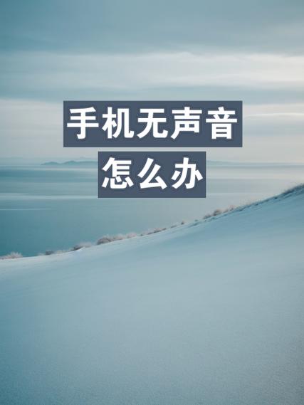 苹果6没声音怎么回事