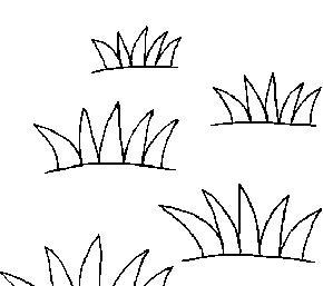 小草客户端安卓破解版