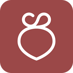 萝卜浏览器有安卓版么