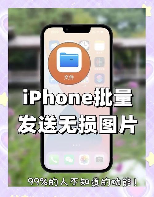 苹果手机如何发送原图